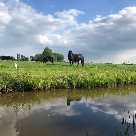 Vakantiehuis In Friesland Voor De Hele Familie Huns 외부 사진