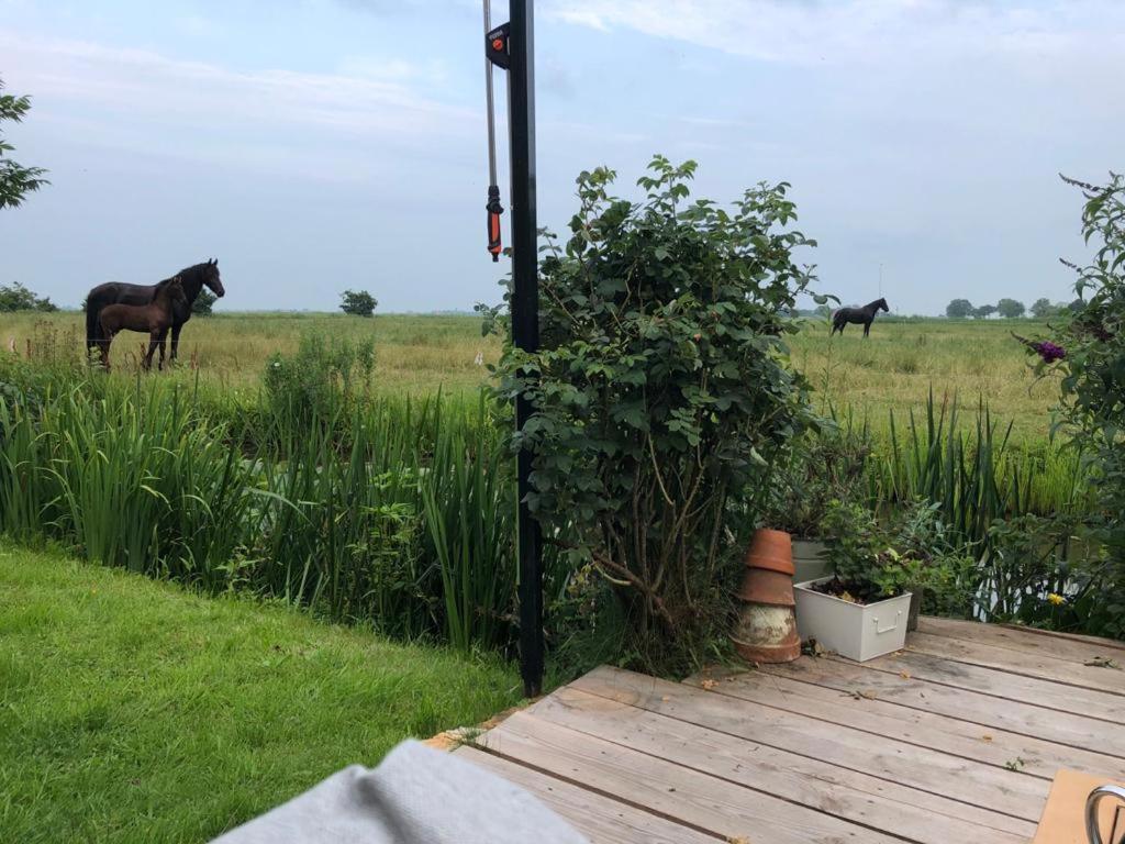 Vakantiehuis In Friesland Voor De Hele Familie Huns 외부 사진