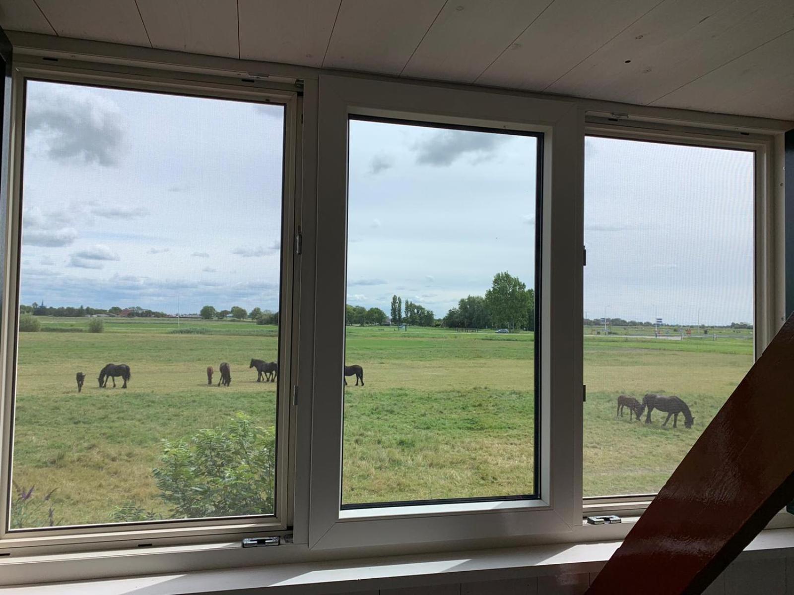 Vakantiehuis In Friesland Voor De Hele Familie Huns 외부 사진