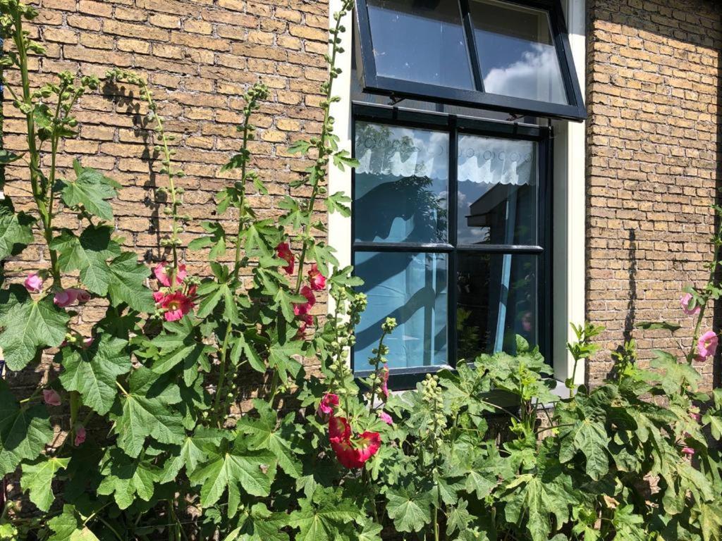 Vakantiehuis In Friesland Voor De Hele Familie Huns 외부 사진